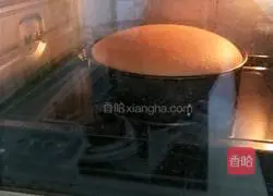 Orange sponge cake recipe 13