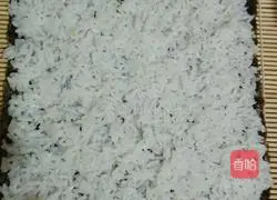 Illustration of home-style sushi rolls 5