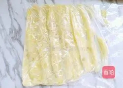 Illustration of how to make pan-fried potato pancakes 5