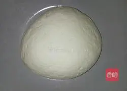 Illustration of making dough scallion pancake 3