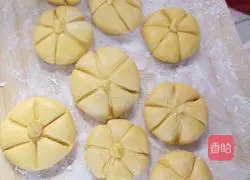 Pumpkin pie recipe 1