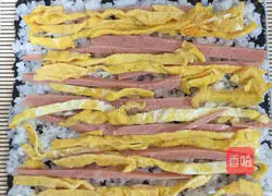 Illustration of how to make sushi 7