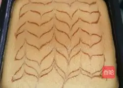 Marble light cheesecake recipe 11