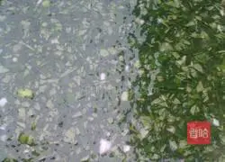 How to make green onion and pepper leaves pancakes Illustration 3