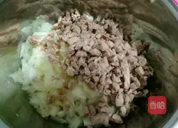 Onion patties Practice illustration 5