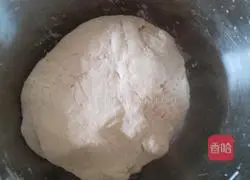 Scallion Pancakes Illustration of how to do it 2