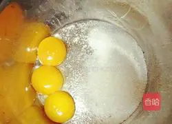 Pumpkin Yoghurt Light Cheesecake Recipe Illustration 3