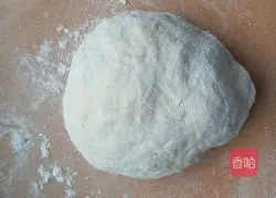 Cabage and meat cakes Illustration of how to do it 1