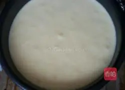 French sponge cake.Recipe 8