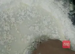 Illustration of how to make green onion cake 2