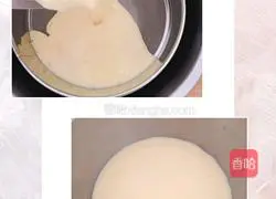 Mango Melaleuca Cake recipe illustration 4