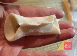 Illustration of how to make pot stickers 5