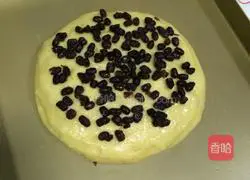 Starbucks Red Bean Waffles Recipe Illustration 12