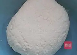 Illustration of how to make pork and cabbage pie 1 