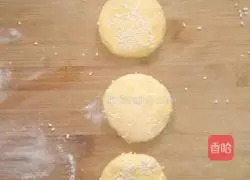 Pumpkin pie recipe 5