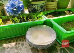 Illustration of how to make star tortillas 8