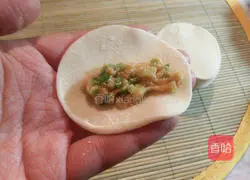 Illustration of how to make pot stickers 4