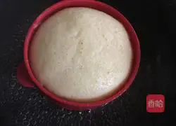 Yoghurt sponge cake Illustration of how to do it 8
