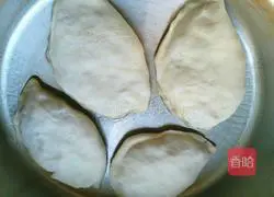 Illustration of how to make onion and pork patties 14