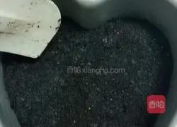 Cream cheese (cheese) cake recipe 3