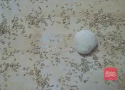 Sesame sugar cake recipe 9