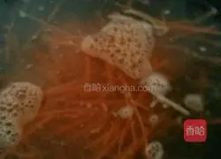 Egg Vegetable pancake recipe 6