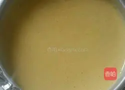 Yoghurt Cheesecake Recipe Illustration 8