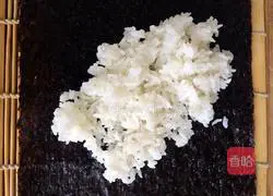 Illustration of home-cooked sushi 5