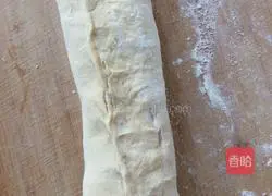 Illustration of home-style fried pancakes 6