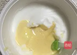 Marble Chiffon Cake Recipe Illustration 13