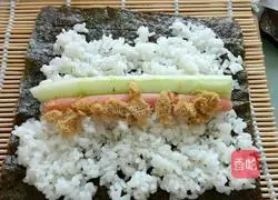 Illustration of homemade sushi 3