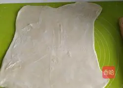 Rose flowers Illustration of how to make cakes 17