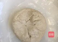 Eggs Illustration of filling cakes 1