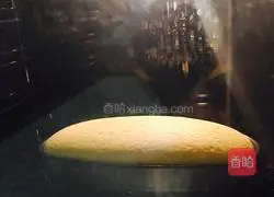 Illustration of how to make light cheesecake 9