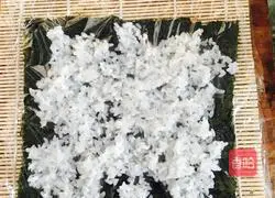 Illustrations of how to make fancy sushi 10