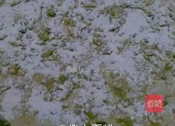 Illustration of how to make scallion pancakes 7