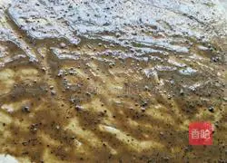 Illustration of how to make salt and pepper pancakes 18