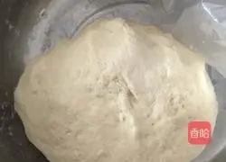 Shiitake Mushrooms Meat pie recipe 2