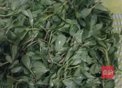 Illustration of making wild vegetable cakes 1