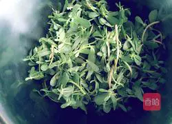 Illustration of how to make garlic sauce purslane cake 1