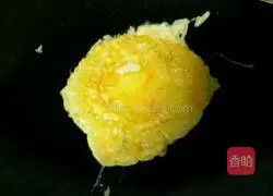 Illustration of how to make pancakes 5