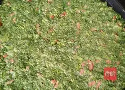  Illustration of how to make fennel egg pancake 4