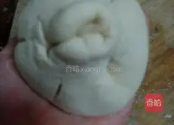 Illustration of how to make fennel and shrimp pie 12