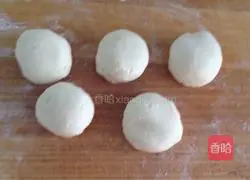 Chicken Burrito Recipe Illustration 6