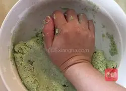 Spinach pancake recipe 5