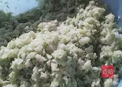 Pork and cabbage pie recipe 4