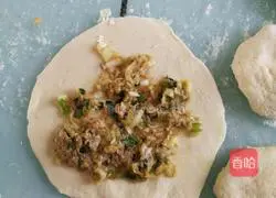 Pork and cabbage pie recipe 8