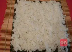 Illustration of home-cooked sushi 4