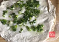 Hand Illustration of making scallion pancake 3
