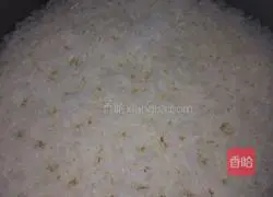 Illustration of how to make meat floss sushi 1